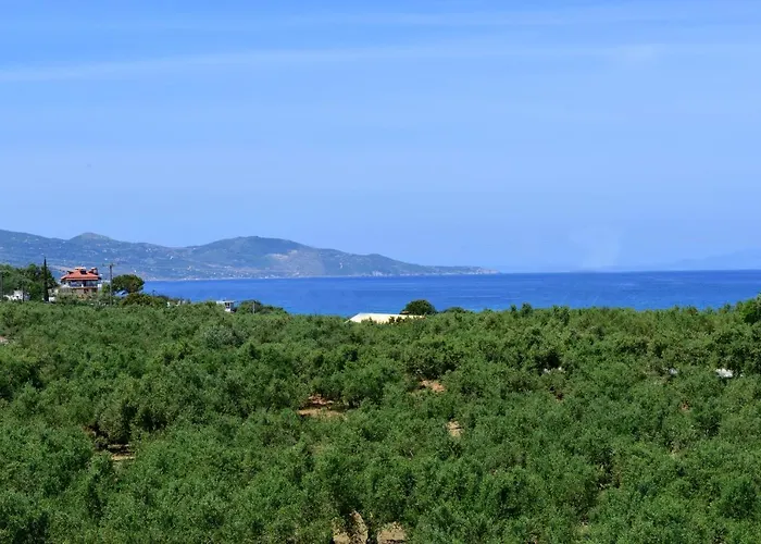 Asteria Ξενοδοχείο με διαμερίσματα